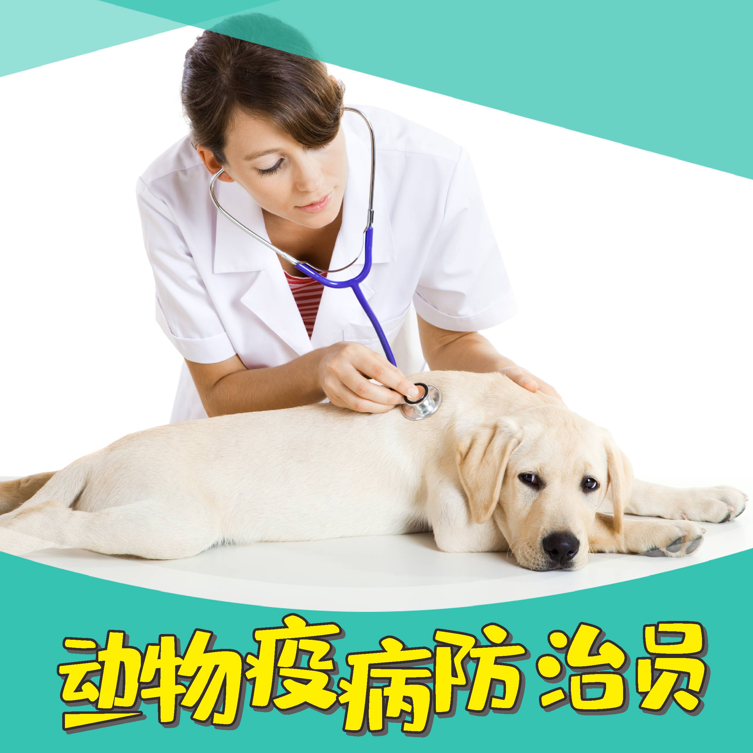 高级动物疫病防治员（试卷六）